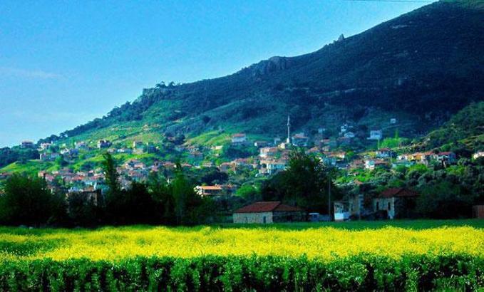 Kozbeyli'yi kurtaran karar