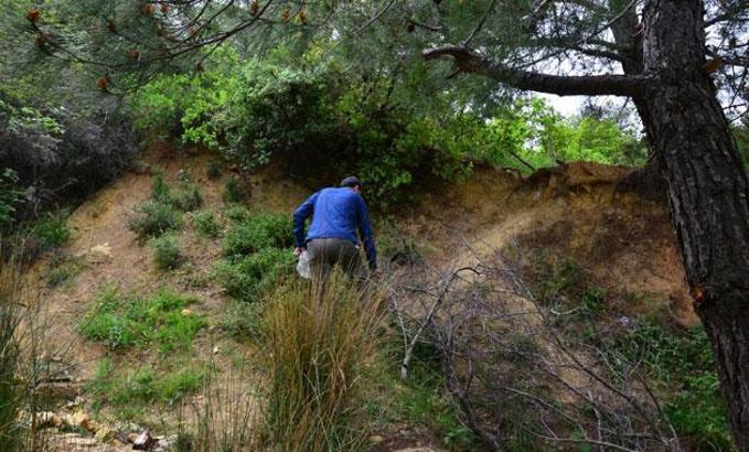 Mantar toplarken dikkat