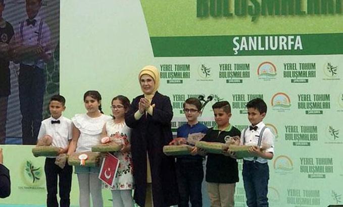 Emine Erdoğan, Harran Ovası'na biber fidesi dikti