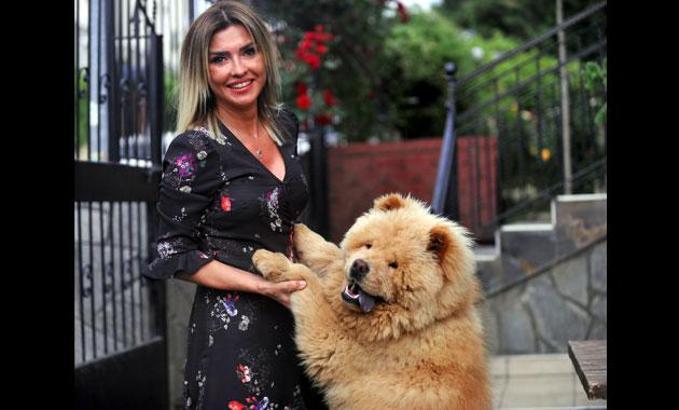 Çalınan 'Herkül' bulundu; 'Evladımıza kavuştuk'