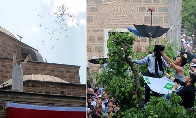 Şifalı mesir macunu 478'inci kez Sultan Camii'nden saçıldı