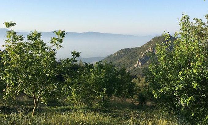 Darüşşafaka mezunları Eğitim için Ceviz Projesi’yle eğitime destek olacak