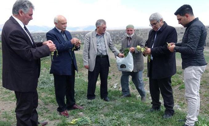 Erzurum'un dağlarında yetişen otlar şifa kaynağı