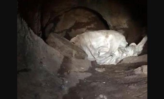 TSK, içinde 35 adet EYP düzeneği bulunan mağarayı imha etti