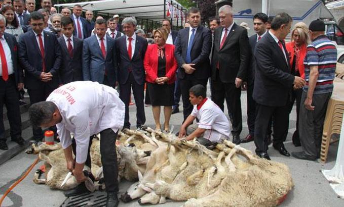 Kayseri'de MHP'nin 10 adayı için 10 kurban kesildi