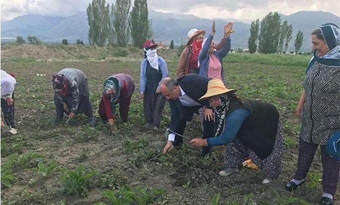 Muharrem İnce: 24 Haziran’dan sonra bu aksaklıklar düzelecek