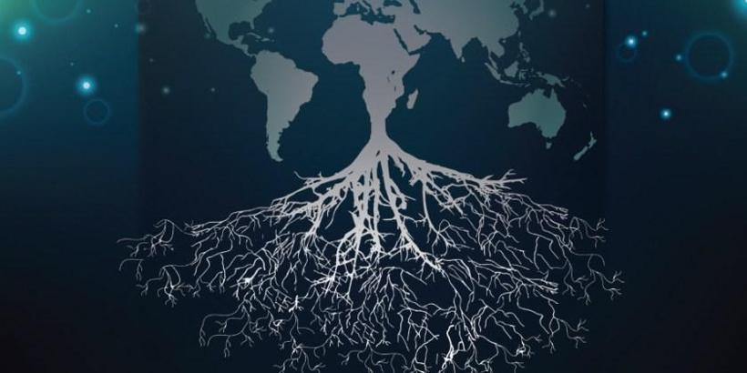 2017’de her dört bilişim şirketinden üçü büyüdü