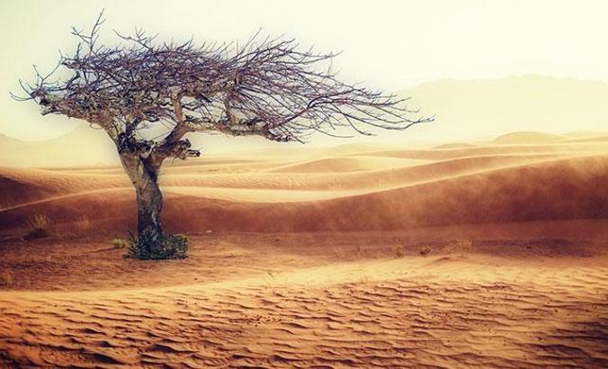 Türkiye’nin dörtte üçü iklim değişikliğinden endişeli