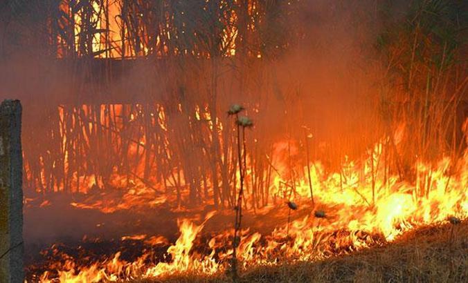 Manisa'da 10 hektar bahçe ile otluk alan yandı