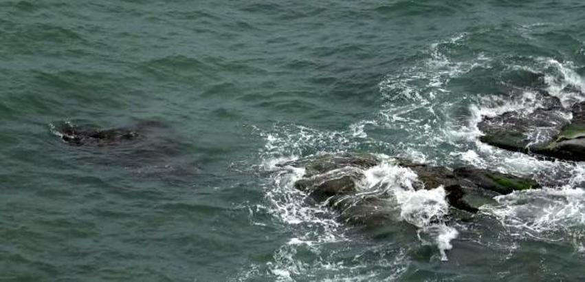 Karadeniz’de dalgalardan elektrik üretilecek