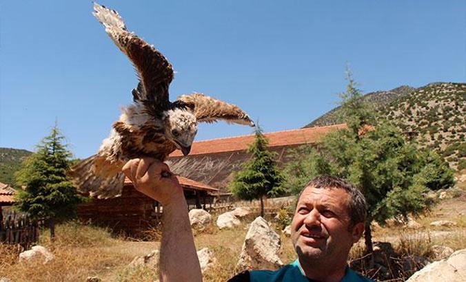 Lisinia'da 715 yaban hayvanı tedavi edildi