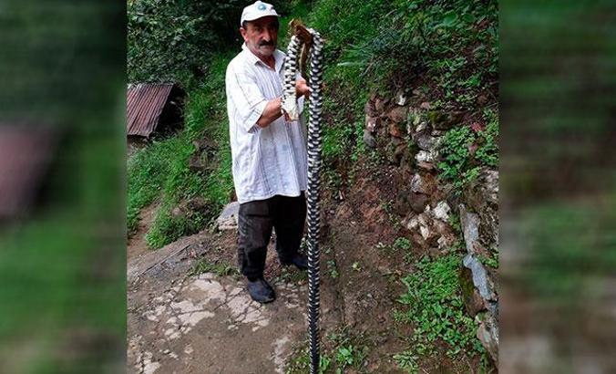 Bahçesinde gördüğü 2 metrelik endemik tür yılanı, sopayla öldürdü
