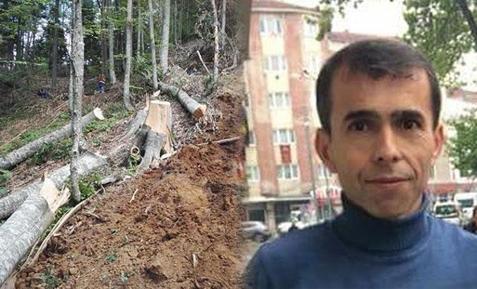 Kestiği ağacın altında kalarak öldü