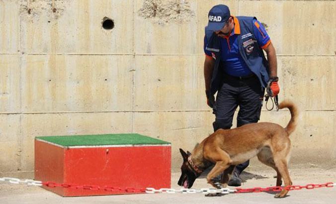 Ondan Türkiye'de sadece 7 tane var