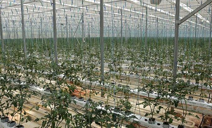 Van'da jeotermal elektrik santrali kuruluyor