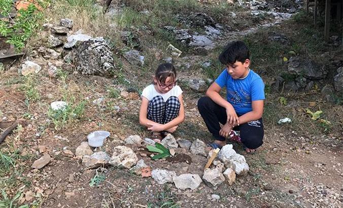 Burdur'da 10 kedi ölüsü bulundu