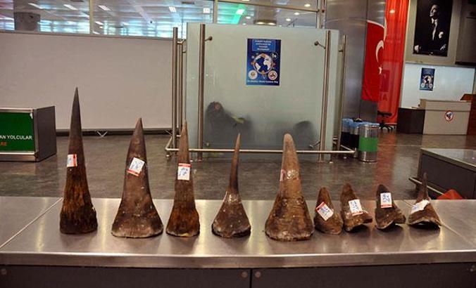 Atatürk Havalimanı'nda gergedan boynuzu operasyonu