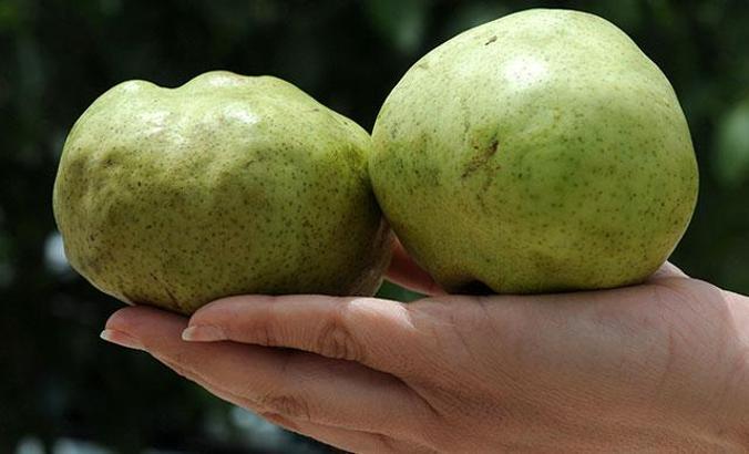 6 yöresel ürün daha coğrafi işaret aldı