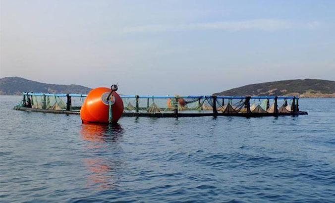 Ayvalık'ta balık çiftlikleri için 'ÇED gerekli değildir' kararına 2'nci iptal