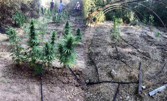 Uyuşturucu satıcısından şifreli konuşma