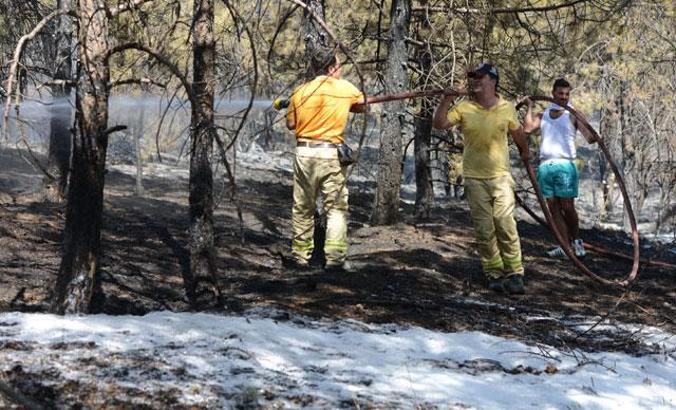 ODTÜ ormanında yangın
