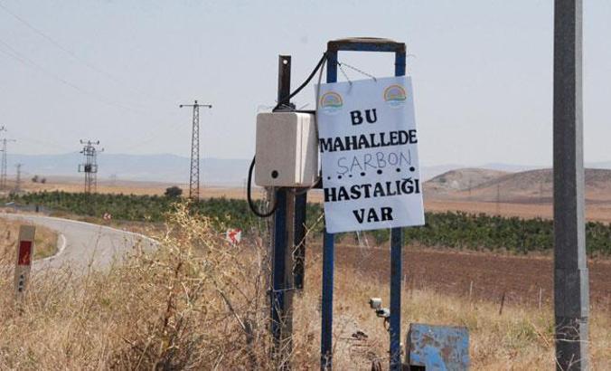 Et ve Süt Kurumu'ndan 'şarbon' açıklaması: Piyasaya sürülmesi söz konusu değil