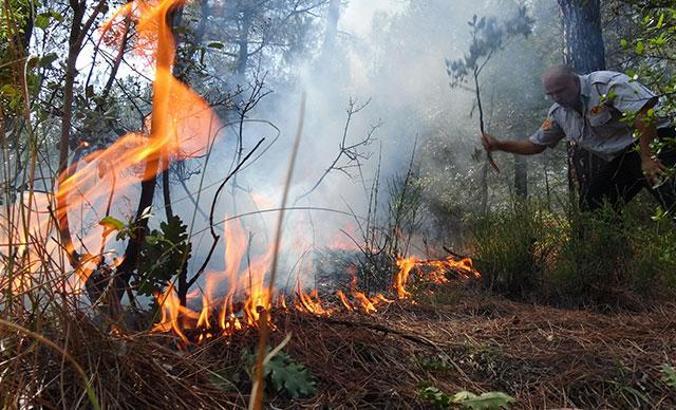 Karabük'te orman yangını