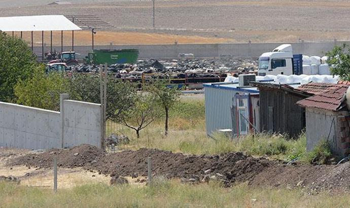 O çiftlikteki diğer hayvanlarda şarbon olup olmadığı 15 Eylül'de belli olacak