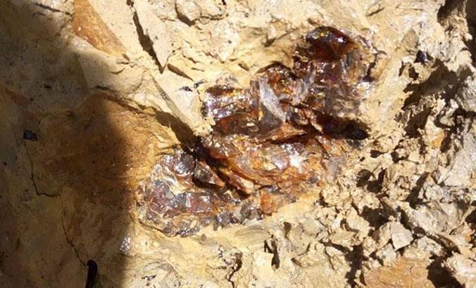 Bayburt'ta tesadüfen keşfedilen 'kehribar' için harekete geçiliyor