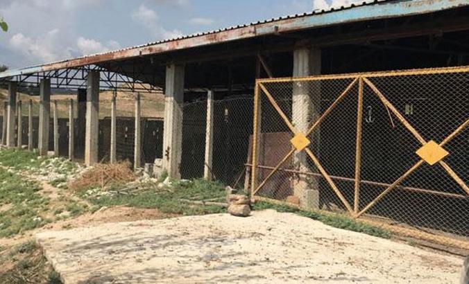 Telefon dolandırıcılığından 2 milyon lira kazanmış