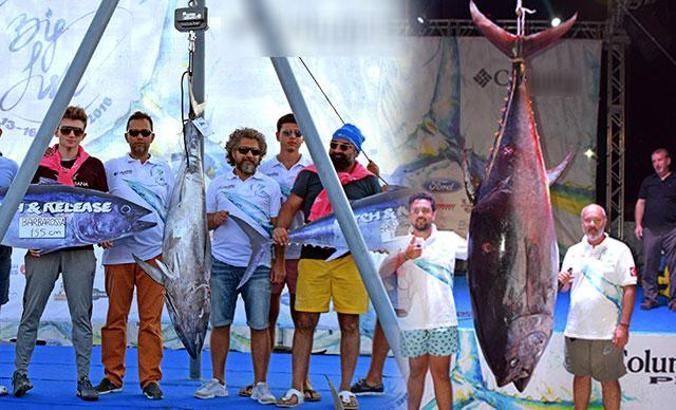 305 kiloluk orkinos tüm zamanların rekoru oldu