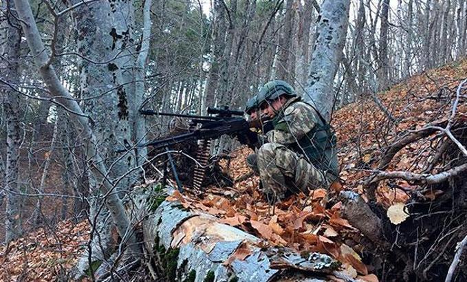 Şırnak'ta 2 terörist öldürüldü