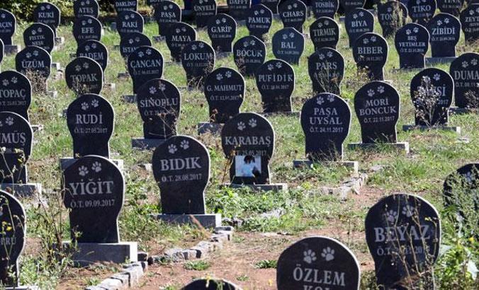 Evcil hayvanlara özel mezar