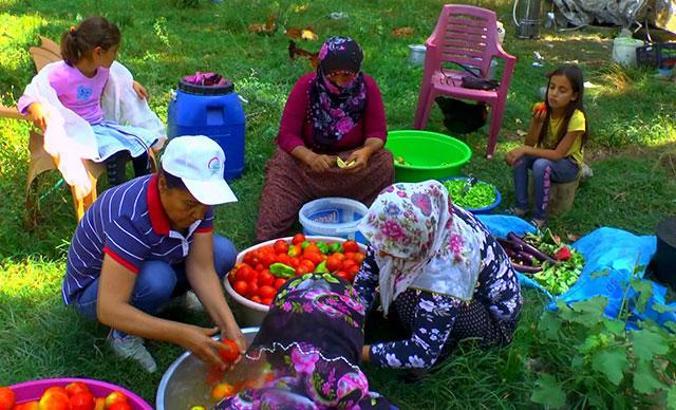 Köyde imece usulü konserve yapımı