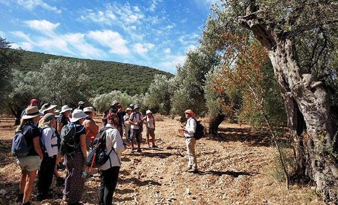 Efes-Mimas yolu sizi bekliyor