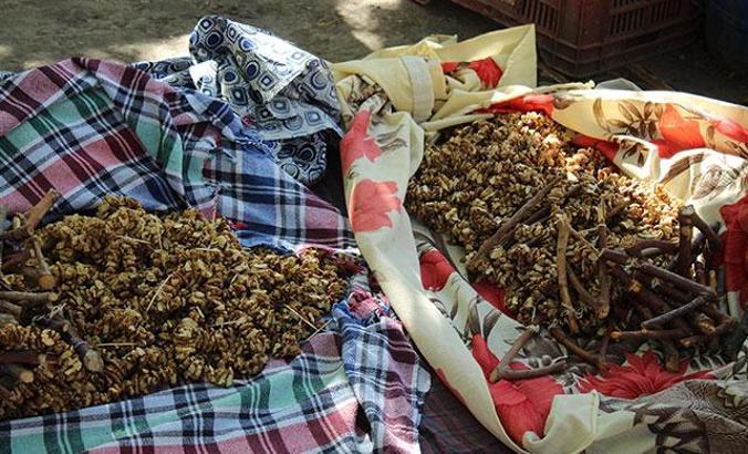 Ermenek'te 'bandırma' geleneği sürüyor