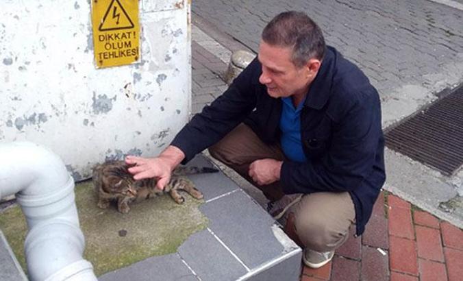 Köpeklerin saldırdığı yavru kediyi kurtardı