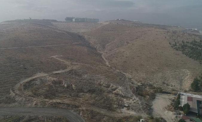 İmara açılacak ağaçlık arazi, mahkeme kararıyla kurtuldu