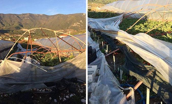 Kaş'ta yağmur ve hortum seraları vurdu