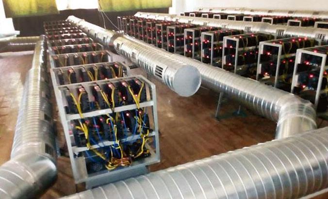 Çiftlikteki ‘coin’ler sizlere ömür