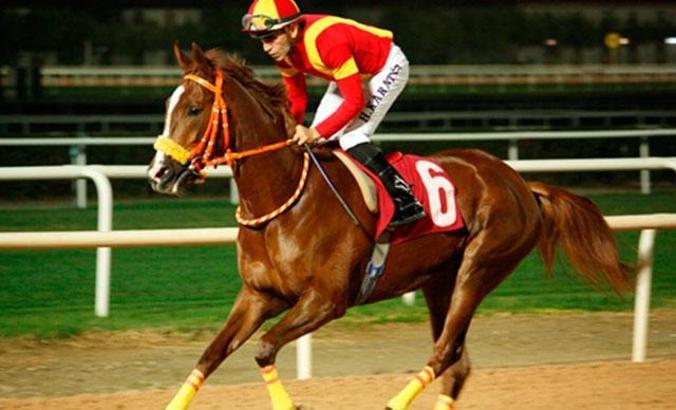 Jokeyler at binmeme kararı aldılar