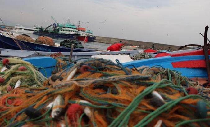 Doç. Dr. Kocabaş: Karadeniz'de artan yunus sayısı balıkçılığı tehdit ediyor