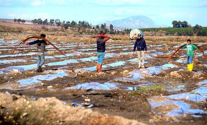 Selin zarar verdiği seralarda zor mesai