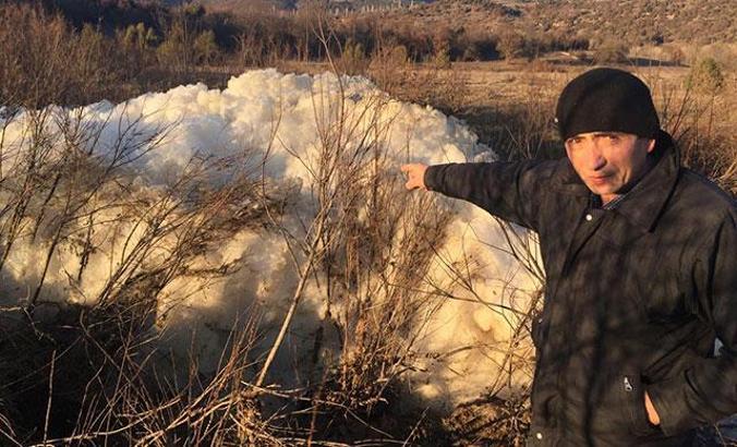 Kütahya'da balık ve hayvan ölümleri