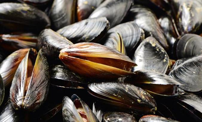 Ağır metal zehirlenmesi sinsice ilerliyor