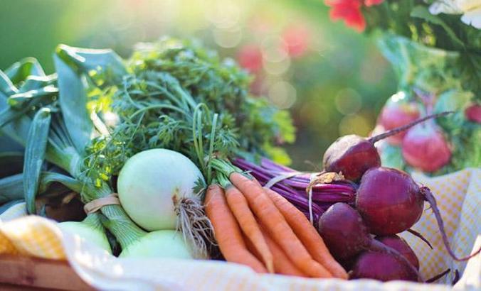 "Çözülen gıdalar tekrar dondurulmamalı"