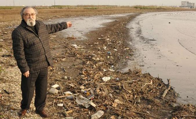 İzmit Körfezi'nde göçmen kuşların cenneti kirlendi