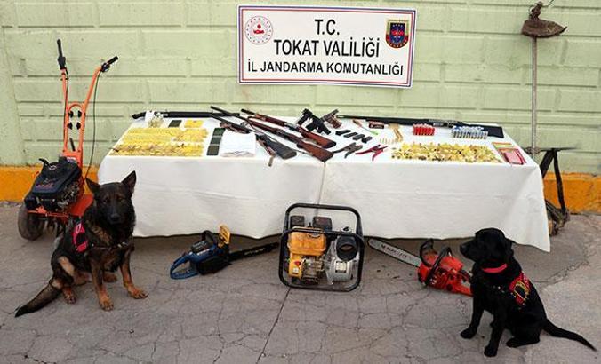 Tokat merkezli hayvan hırsızlığı operasyonu: 16 gözaltı