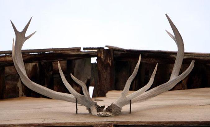 Eski evlerin üstündeki beylik simgesi 'geyik boynuzları' ilgi çekiyor