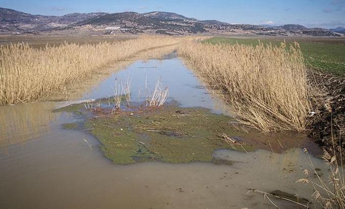 Kestel Ovası'nda 30 bin dekar tarım arazisi su altında kaldı